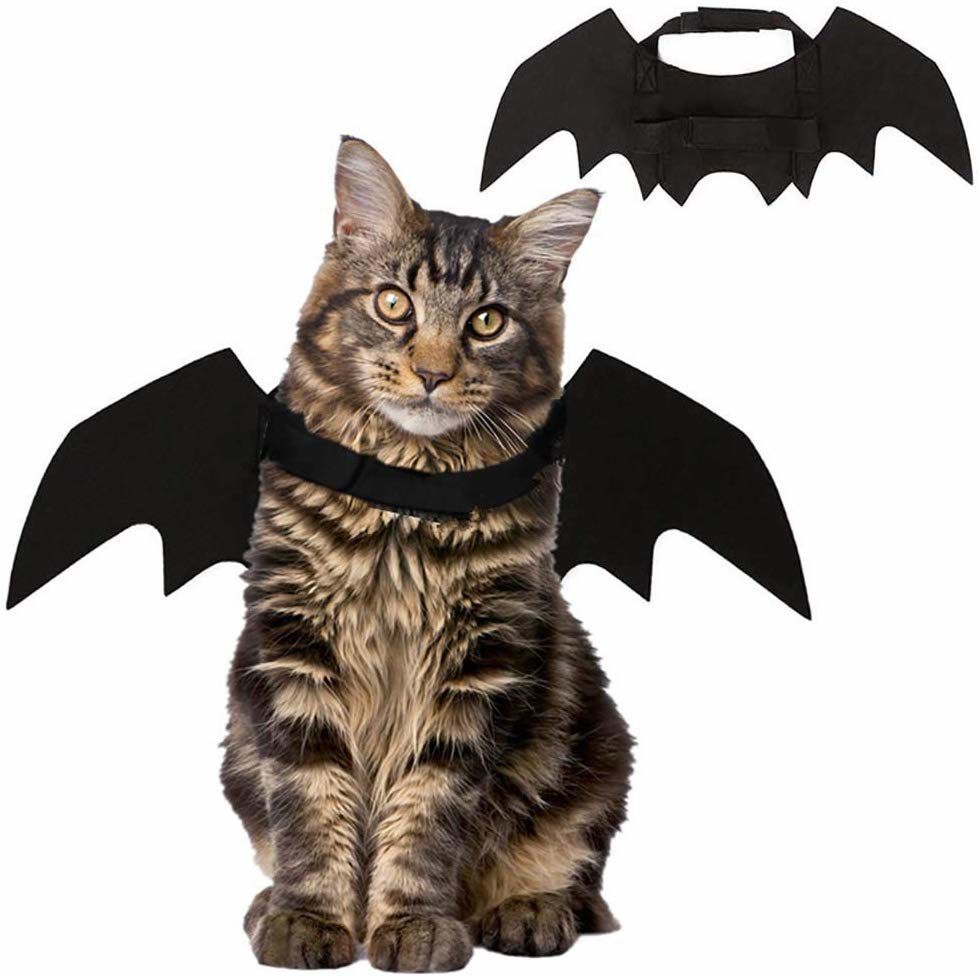 Bat